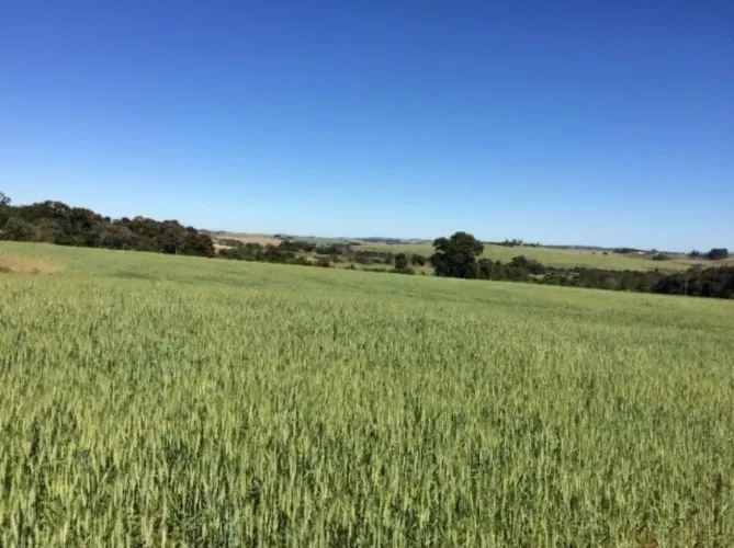 Oportunidade única: Sitio à venda em Itapetininga-SP, bairro Área Rural, 1 quarto, 1 banhe