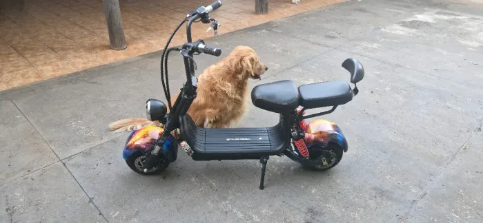 Scooter Elétrica Até 40km Autonomia Aro 10 1000w - Star Mega