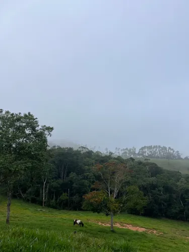 Terreno 6,05 hectares