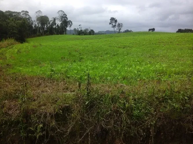 SITIO RURAL em ITUPORANGA - SC, ESTRADA GERAL ALTO TRÊS BARRAS
