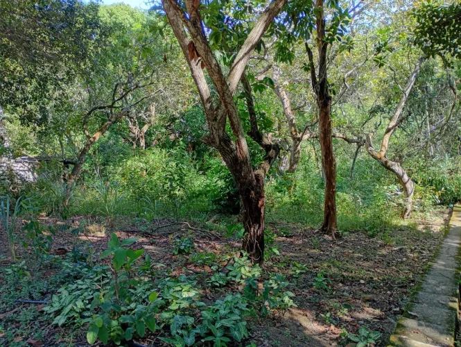 Vendo terreno em Mauá /Magé, jardim da paz