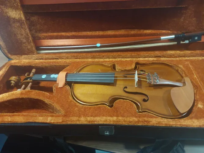 Violino Eagle VE421 com Case