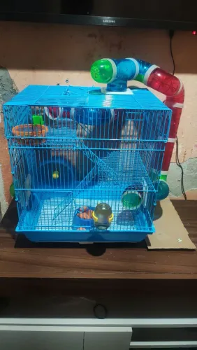 Vendo gaiola e hamister sirio