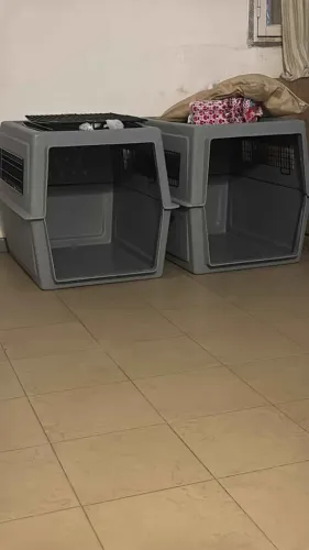 Caixa transportadora pet IATA