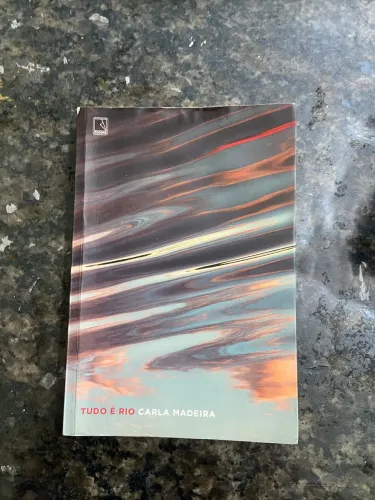 Livro tudo é rio
