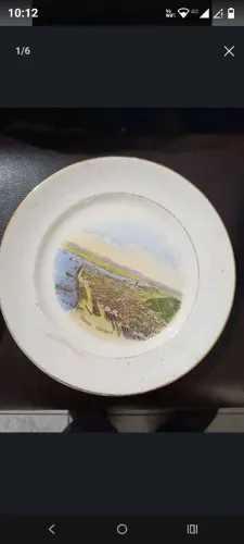 Porcelana decorativa centenário