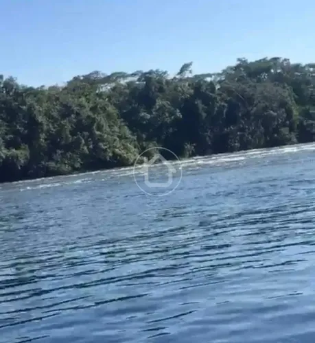 SÍTIO COM MATA VIRGEM