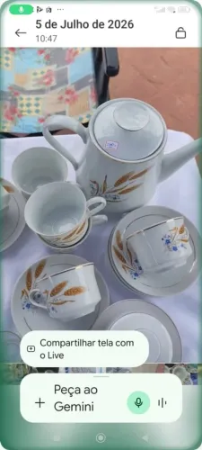 Jogo de Porcelana déc.70