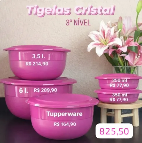 Vende -se vasilha Tupperware microondas 