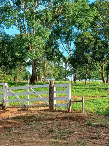 ATENÇÃO!! Excelente fazendinha de 24,68 ha, terra de cultura - Corumba de Goiás-GO