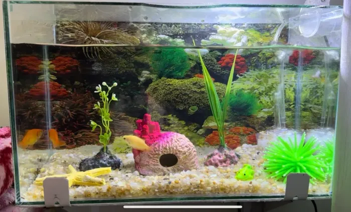 Aquário com bomba e Luminária seminovos