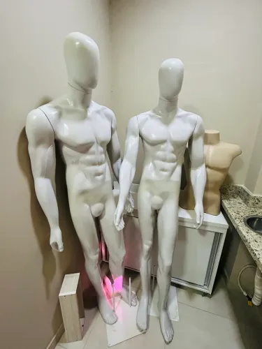 Manequim bombado + busto masculino