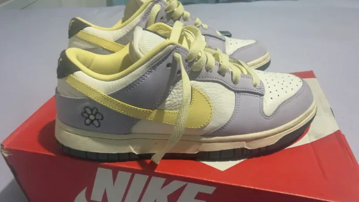 Tênis Nike Dunk