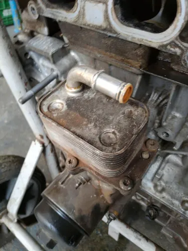 Resfriador de Óleo Peugeot Citroen 2.0
