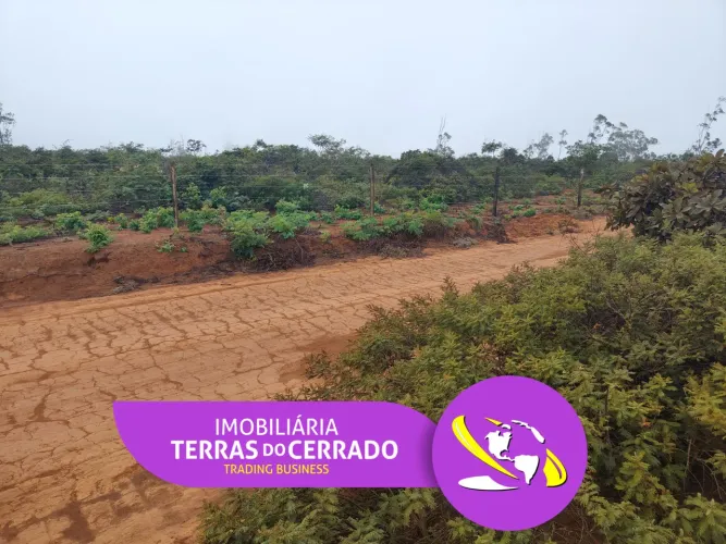 ARRENDA FAZENDA PRODUTIVA COM 62HECTARES, COM ALTITUDE DE 1.100M PRA CULTURAS NOBRES!!
