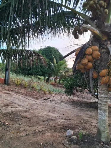 Vendo maravilhoso sítio em alagoinhas