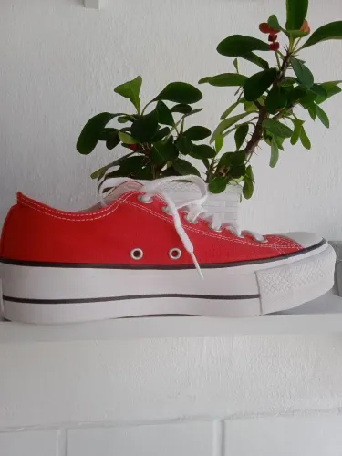 Tênis converse ALL star feminino original