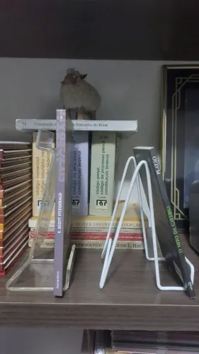 Vendo Suporte para Livros, Revistas