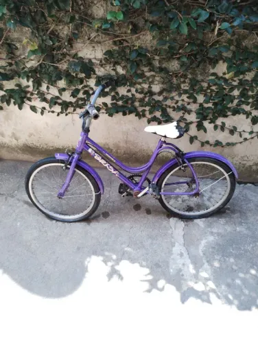 Bicicleta Aro 20