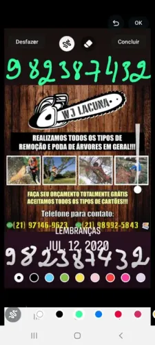 Podas em árvores e retirada de raizes com ou sem remoção * zap