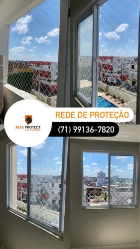 Rede de Proteção - Crianças, gatos e adultos