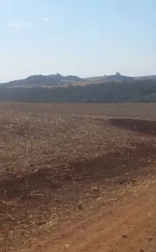Fazenda  286 alqueiro perto de Londrina -Pr