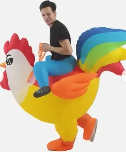 Fantasia Montaria Galinha