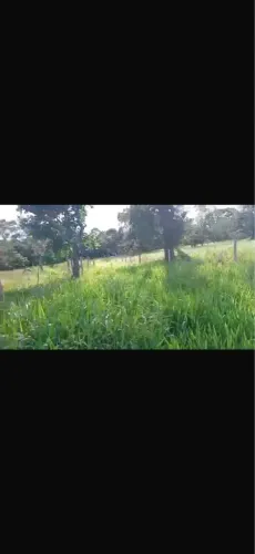 Sítio em Ituiutaba