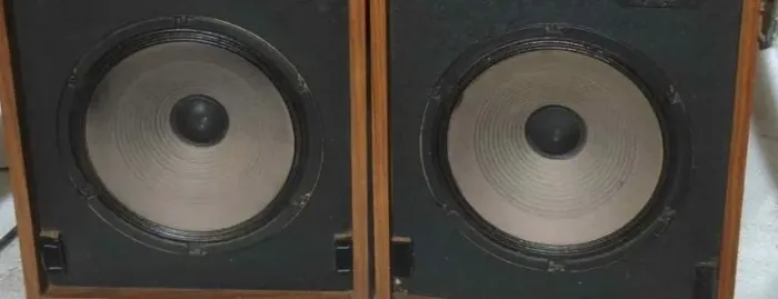 Par de woofer novik 10 polegadas 8 ohms