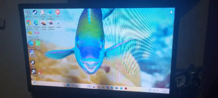 Tv lg 24 polegadas
