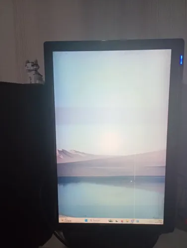 Monitor LG