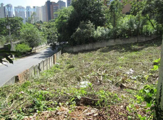 Terreno à venda, 2442 m² por R$ 24.420.000,00 - Vila Suzana - São Paulo/SP