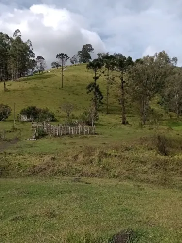 Sítio com 2,5 alqueires, muita agua - Camanducaia Monteverde