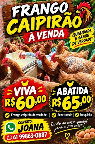 Galinha