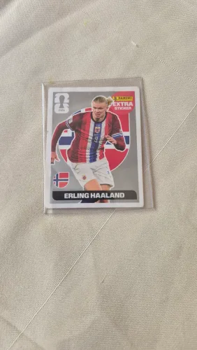 Haaland prata