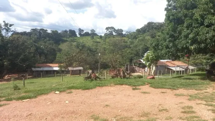 Chácara à Venda em Itapuranga-GO 6,62 Alqueires (32.7711 hectares)
