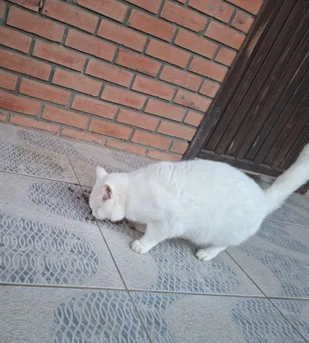 Doação