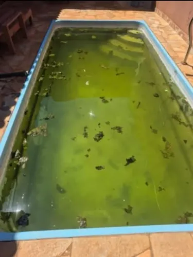 Piscineiro em Ribeirão Preto
