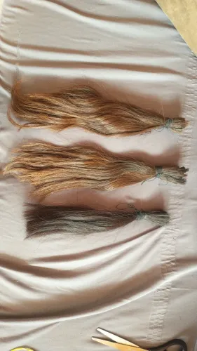 Cabelo