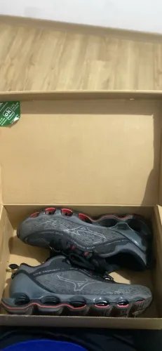 Mizuno prophecy 13 