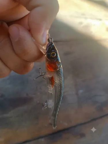 Isca Artificial Meia Água