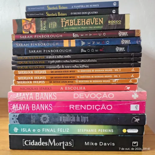 Lote de livros VIII