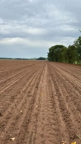 sitio em tambaý 11 alqueires 2.400.000.00 ( jo-ca )