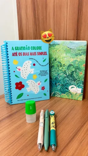 KIT CADERNO 160 FOLHAS COM DIVISÓRIAS + ITENS DE PAPELARIA 
