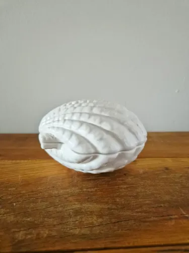 Concha Decorativa em Cerâmica Branca