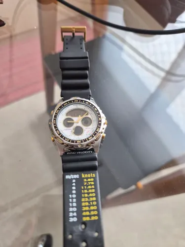 Citizen WR 100