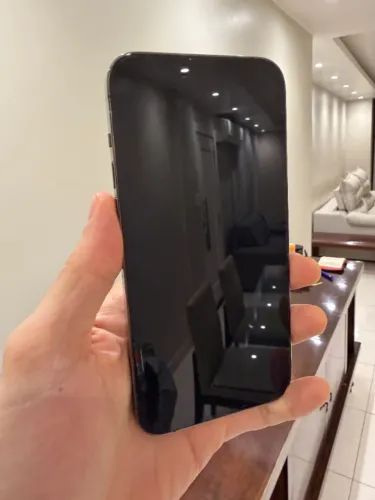 iPhone 13 Pro Max 256GB preto