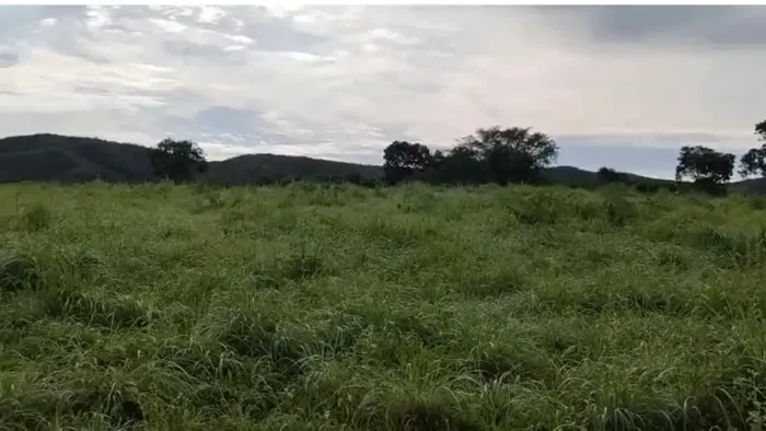 Fazenda a venda, em Nova Xavantina - Mato Grosso