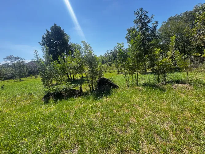 Terreno Antonina - 2 mil metros