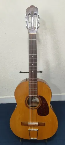 Violão Giannini